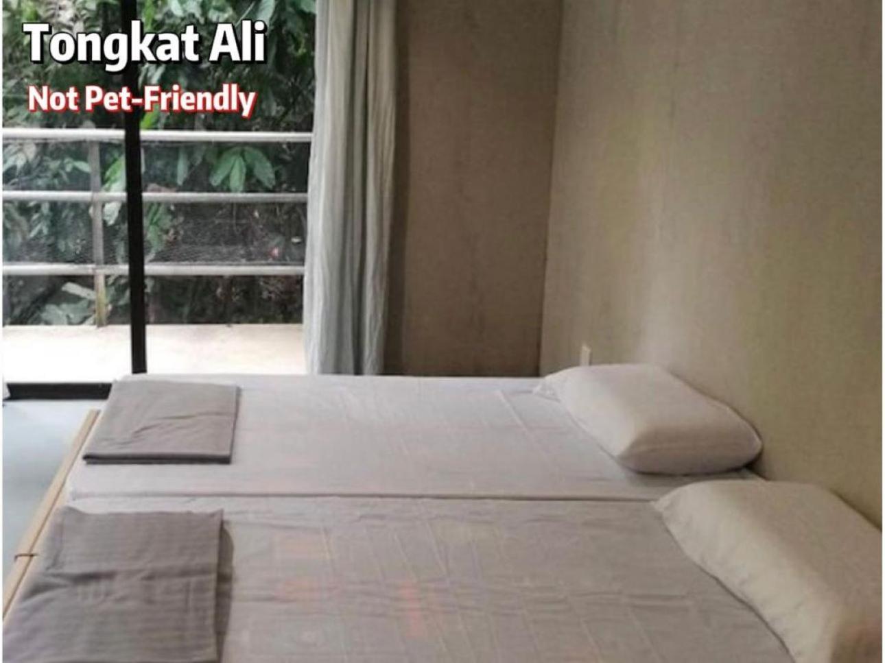 Gibbon Retreat Bentong Hotel Ngoại thất bức ảnh