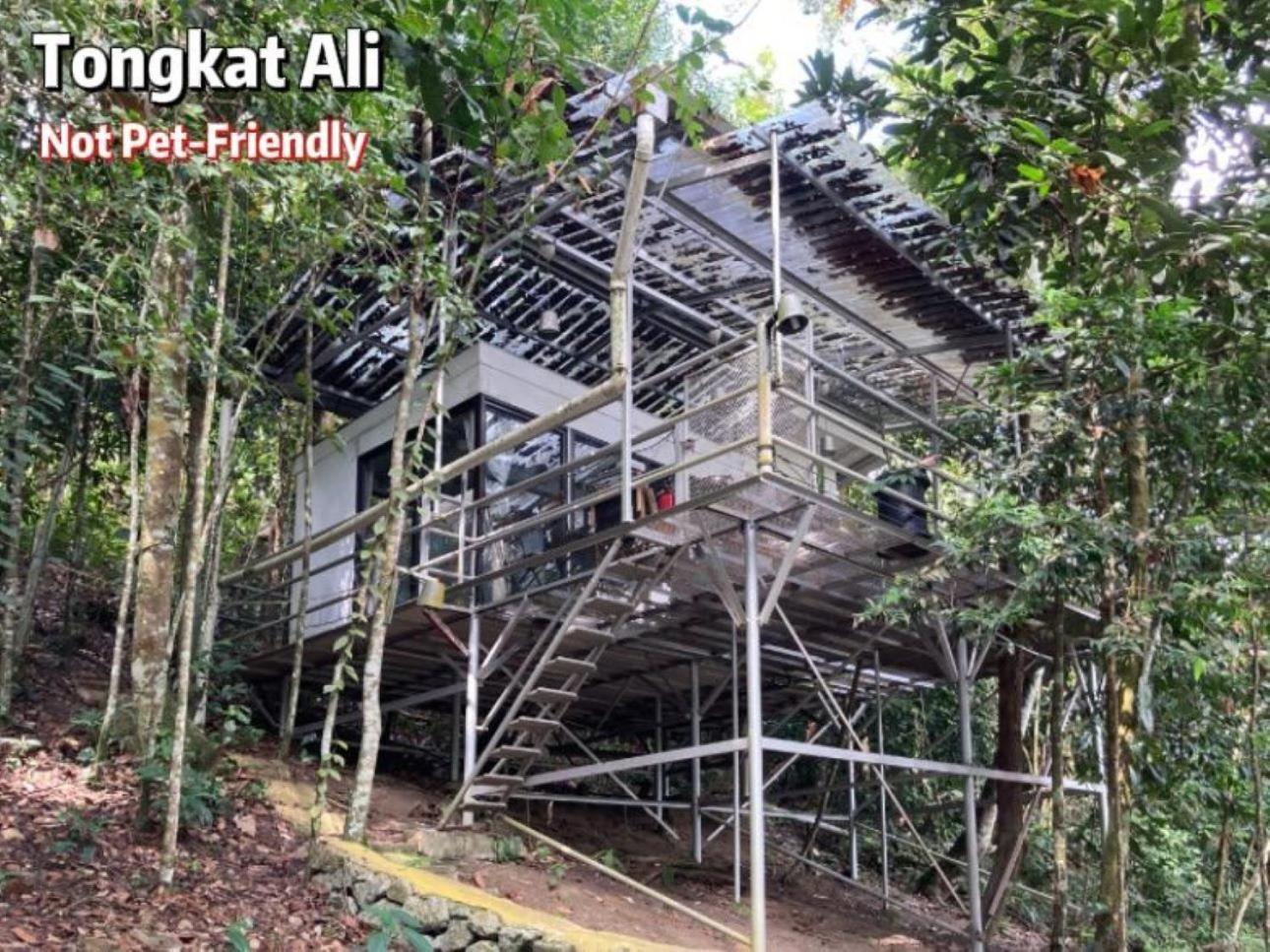 Gibbon Retreat Bentong Hotel Ngoại thất bức ảnh