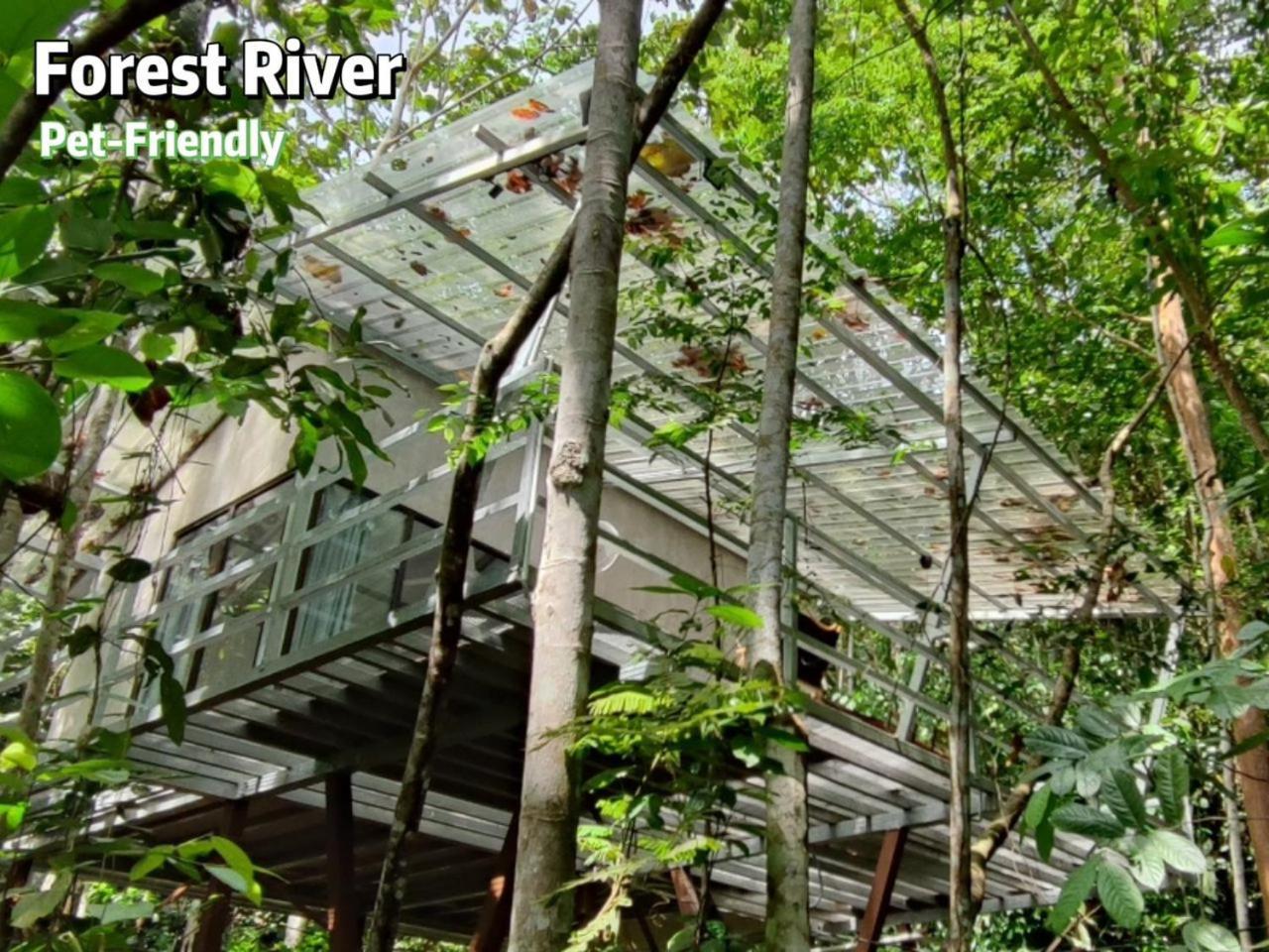Gibbon Retreat Bentong Hotel Ngoại thất bức ảnh
